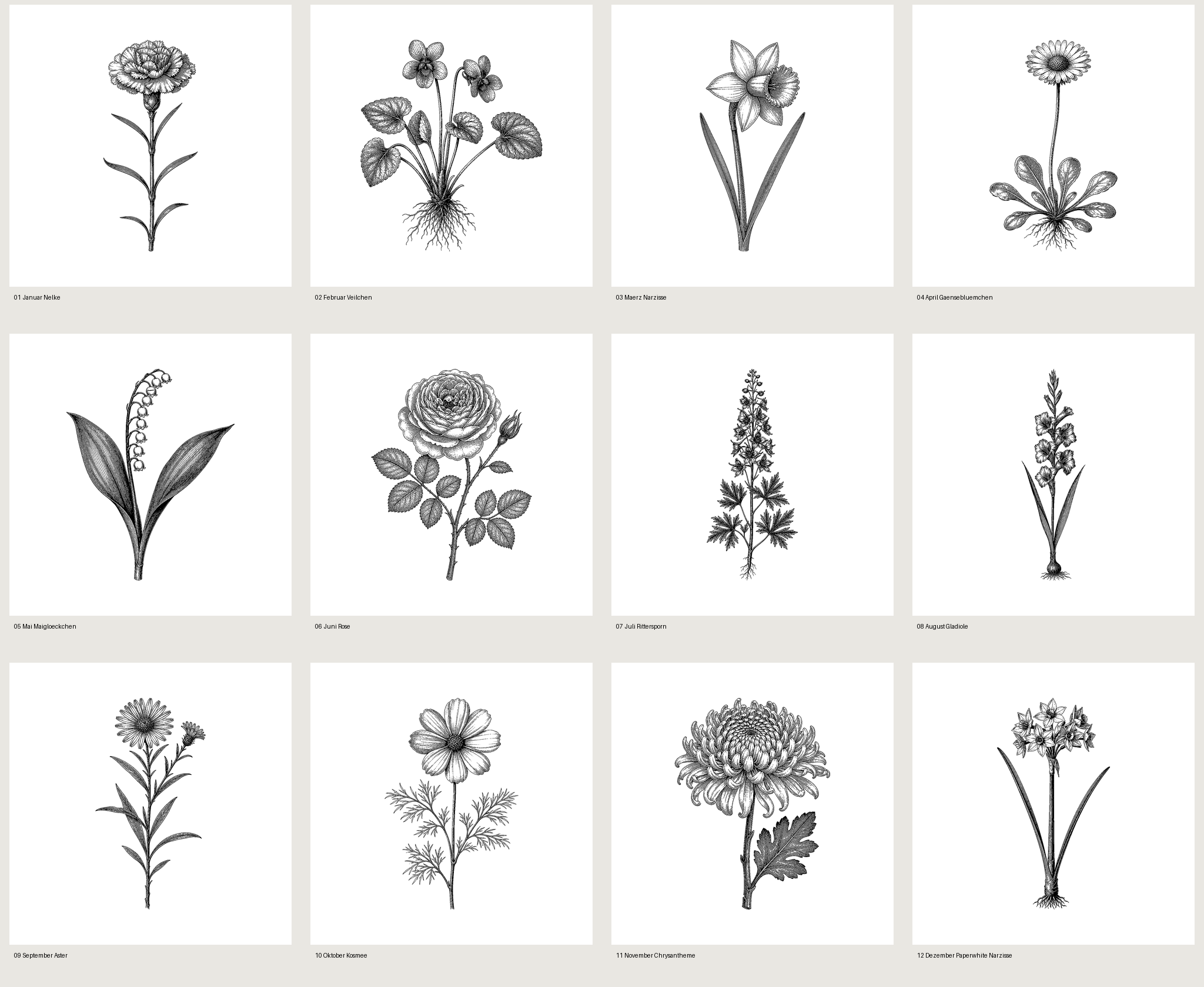 All 12 Birthmonth Flowers in the Set